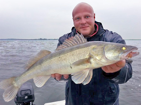 Lieblingskoeder Mr White