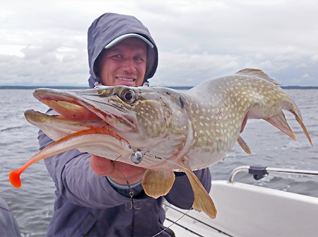 Angelguide Tramnitz mit Barsch auf Lieblingskoeder Nugget