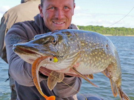 Lieblingskoeder Mr White