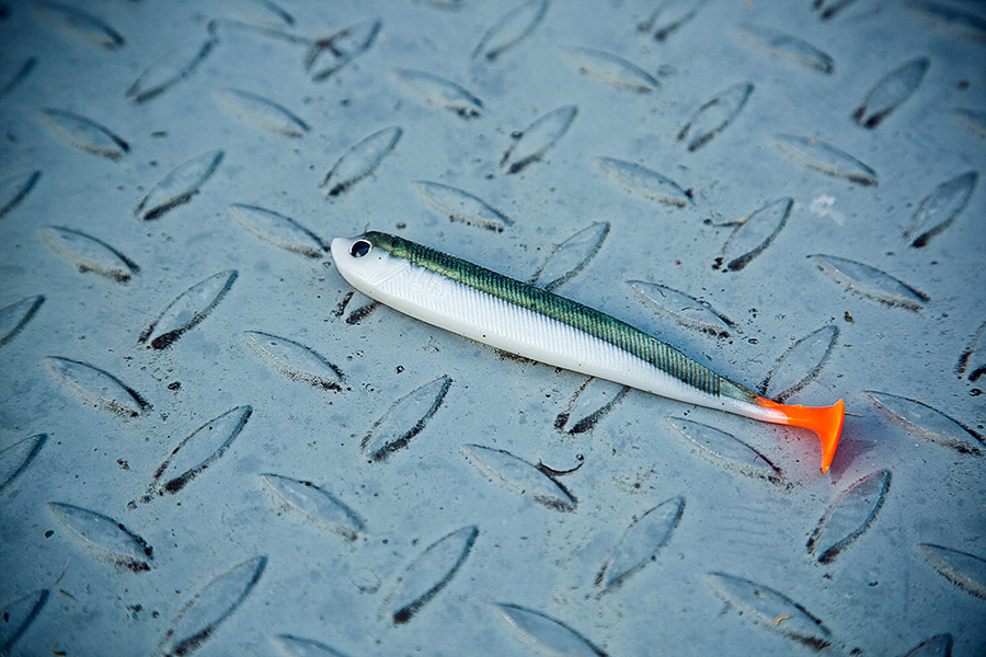 Zander fangen mit Gummiköder Captain