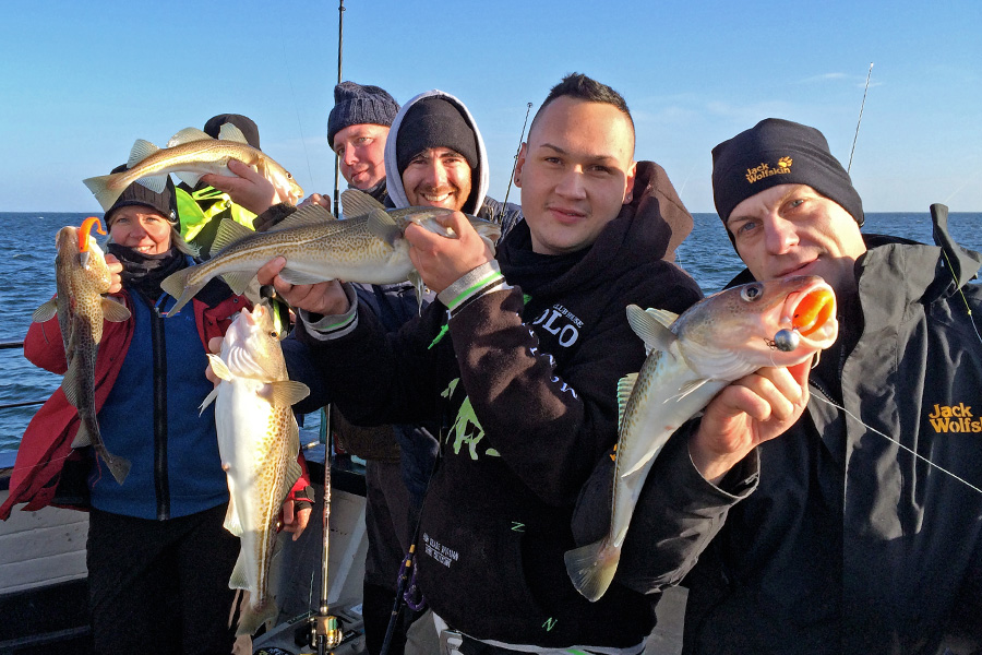 Fangfoto Dorsch auf Gummik&ouml;der M&ouml;hrchen