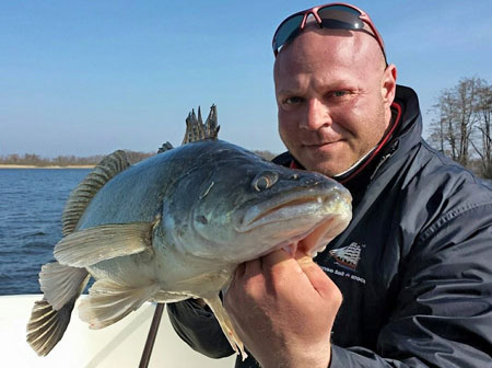 Rene mit Zander auf Lieblingskoeder Mr White