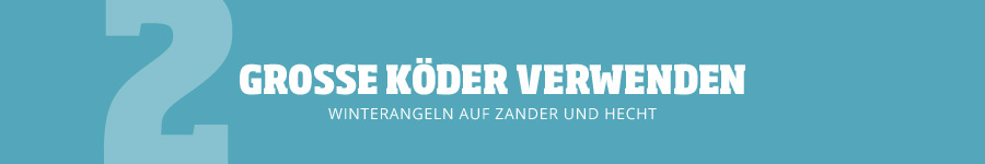 Nehmt größere Köder Tipp 2: Nehmt größere Köder