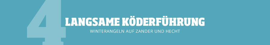 Versucht es mit einer langsamen Köderführung Tipp 4: Versucht es mit einer langsamen Köderführung