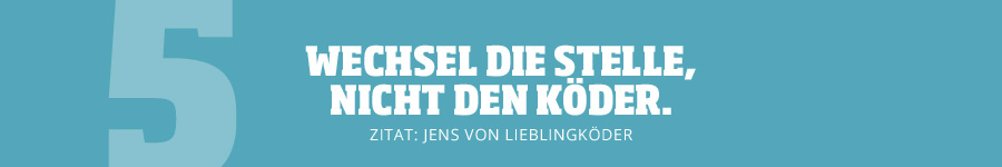 Wechselt lieber die Stelle, als den Köder Tipp 5: Wechselt lieber die Stelle, als den Köder