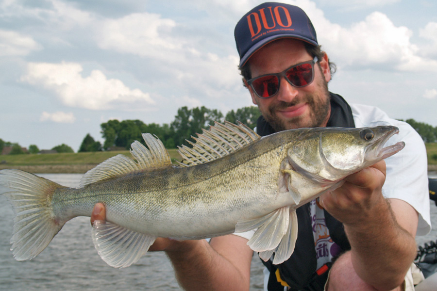S&ouml;ren von daf mit Zander.