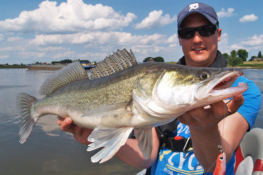 Angelguide Stephan Kadner pr&auml;sentiert Zander.