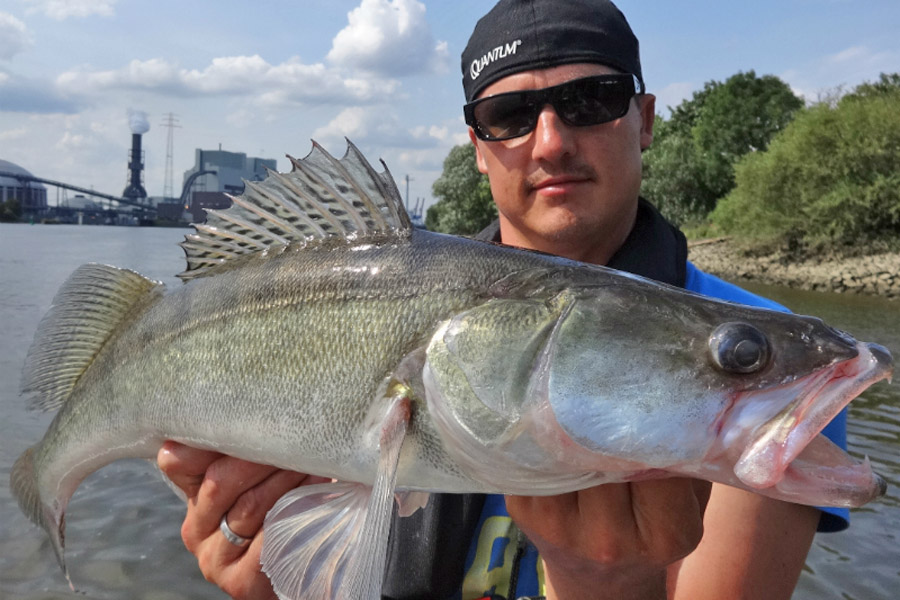Angelguide Stephan Kadner pr&auml;sentiert Zander.
