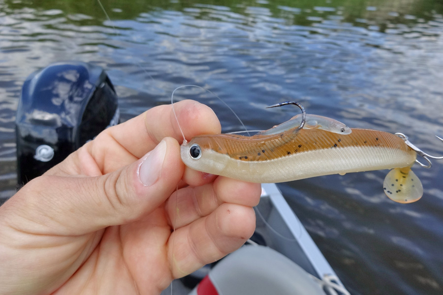 Angelguide Stephan Kadner mit Lieblingsk&ouml;der Whisky.